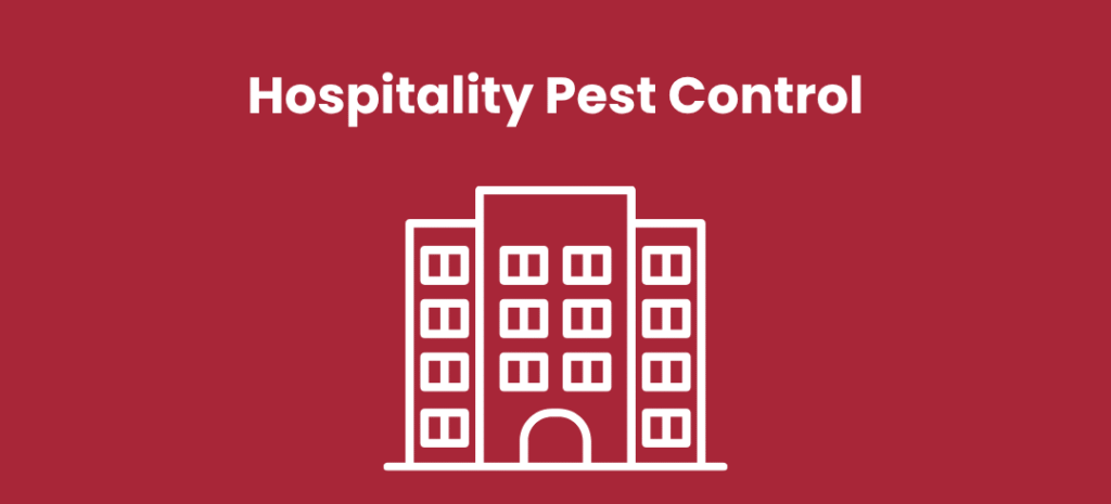 Hospitality Pest Control in Kingston