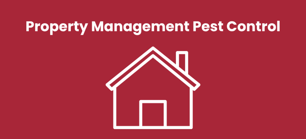 Property Management Pest Control in Kingston
